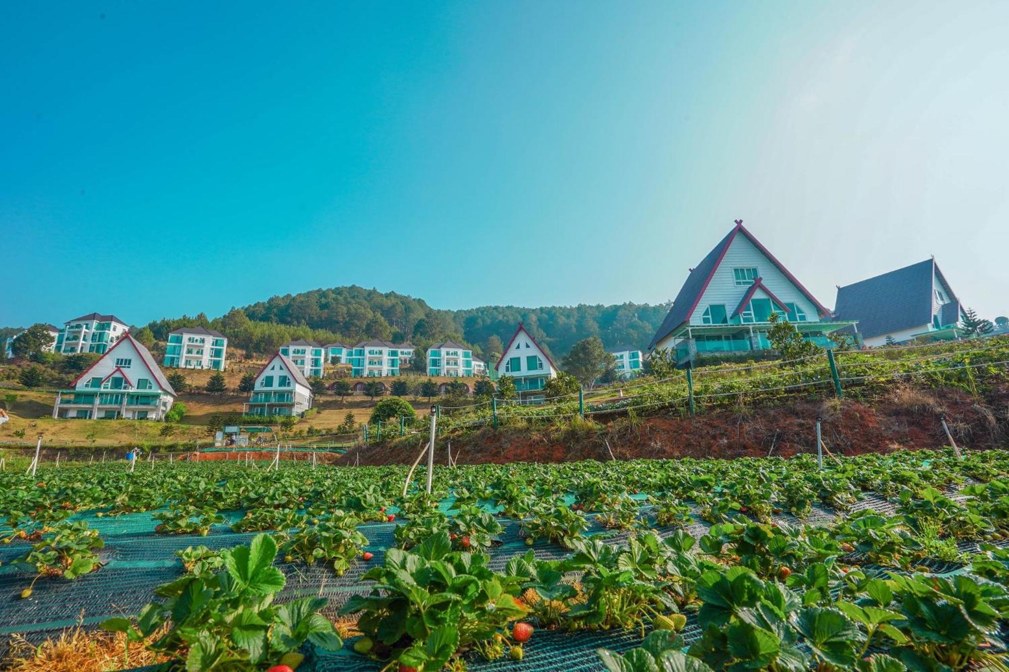 Dalat Wonder Resort Екстериор снимка